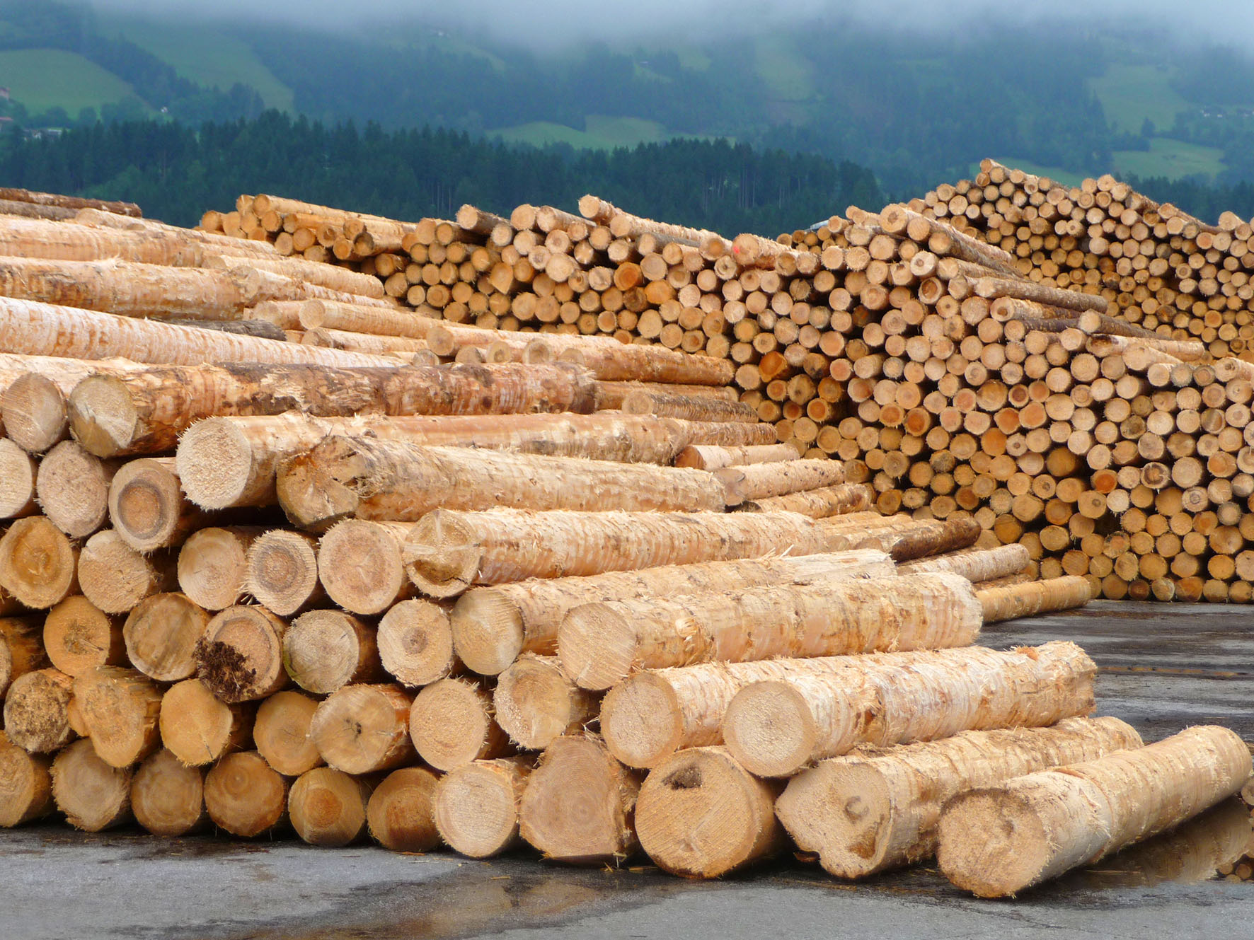 In cascade use, wood is used much more efficiently with a quota of 46 percent than in simple use. (Photo: R. Rosin / TUM)