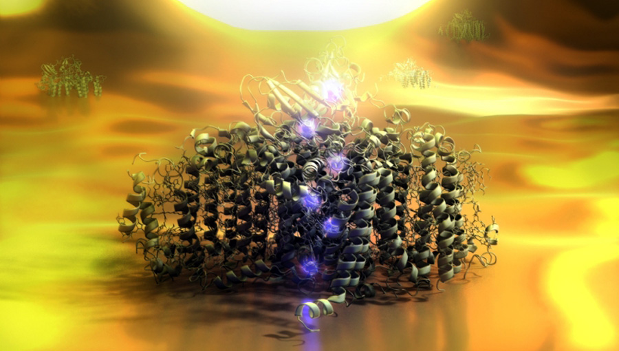 Graphical image of a photosystem I-complex which is lit by the tip of a optical near-field microscope