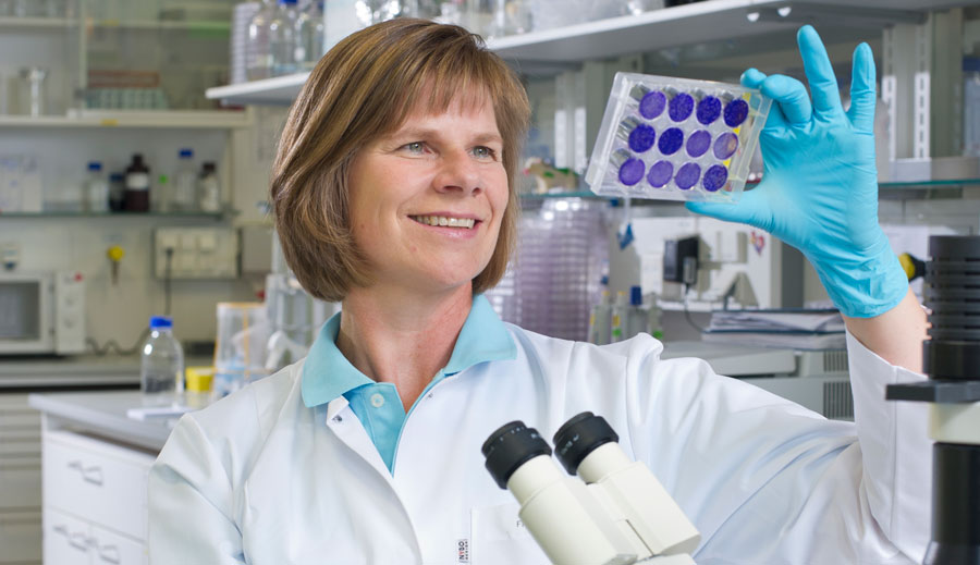 Prof. Ulrike Protzer (im Bild) und Prof. Mathias Heikenwälder konnten die virale DNA in Leberzellen zerstören. (Foto: TUM)