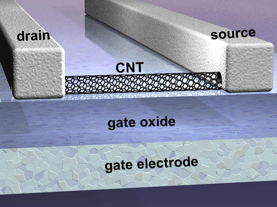 Schematische Darstellung eines Nanotube-Transitors (Bild: TUM)