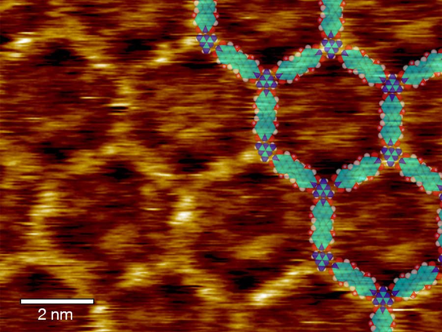 Rastertunnelmikroskopisches Bild des Netzwerks aus mit Melamin verknüpften Terrylendiimidmolekülen; rechts eingeblendet: Modell der atomaren Struktur – Bild: C. A. Palma / TUM