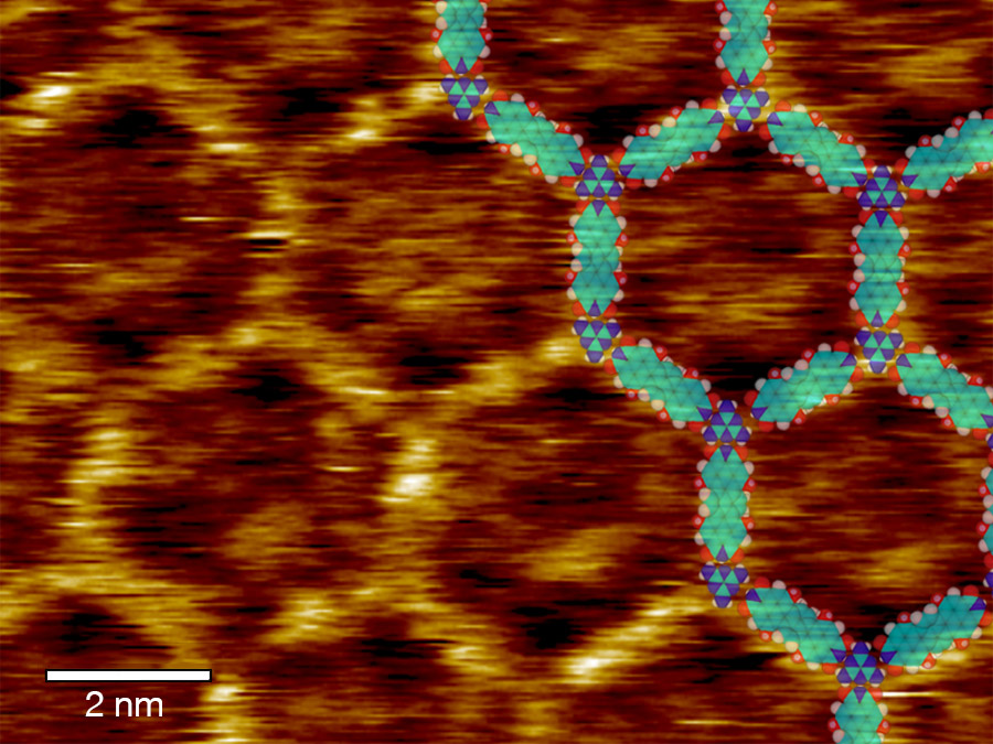 Scanning tunneling microscopic topography of melamine linked terrylene-diimide molecules with inserted model of the molecular nertwork (Scale bar: 2nm) – Image: C. A. Palma / TUM