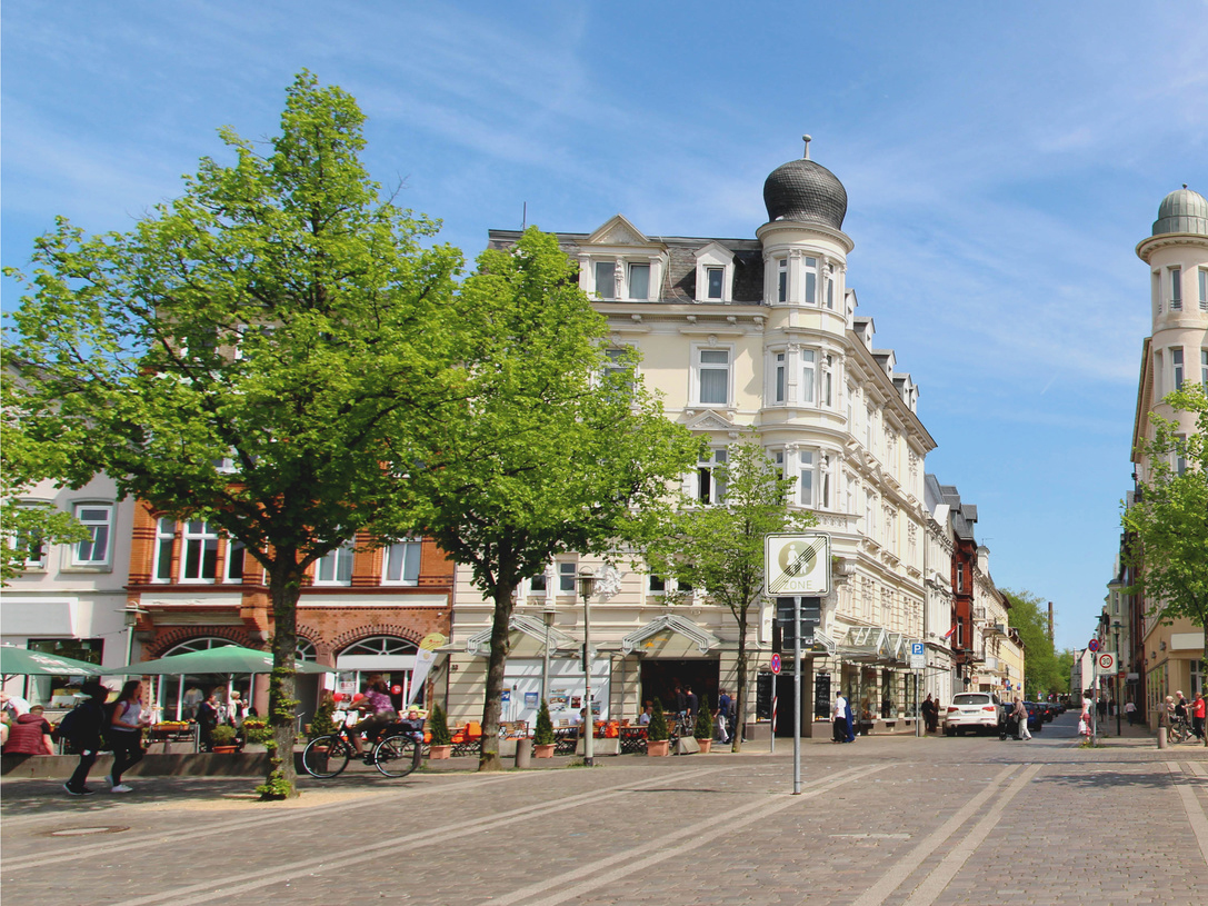 Das typische Stadtbild mit heimischen Bäumen – bald schon ein Auslaufmodell? (Bild: fotolia / embeki)