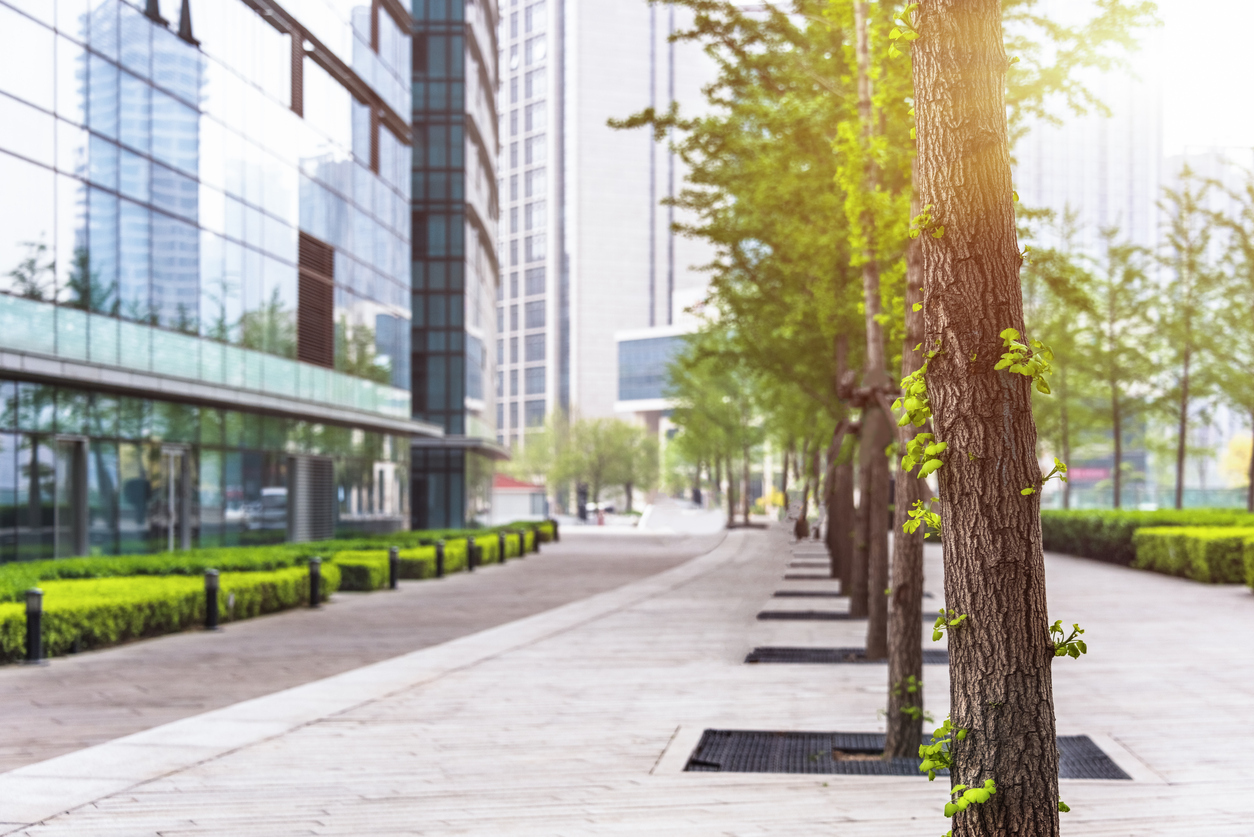 Bäume können einen großen Effekt auf das Stadtklima erzielen. (Foto: Shansekala / istockphoto)