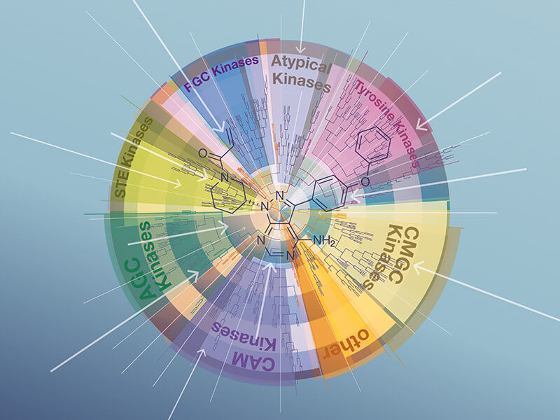 In more than 6000 hours of mass spectrometry, the international research team analyzed the interaction of 243 clinically proven inhibitors with hundreds of kinases. (Picture: ediundsepp/ Kuester)