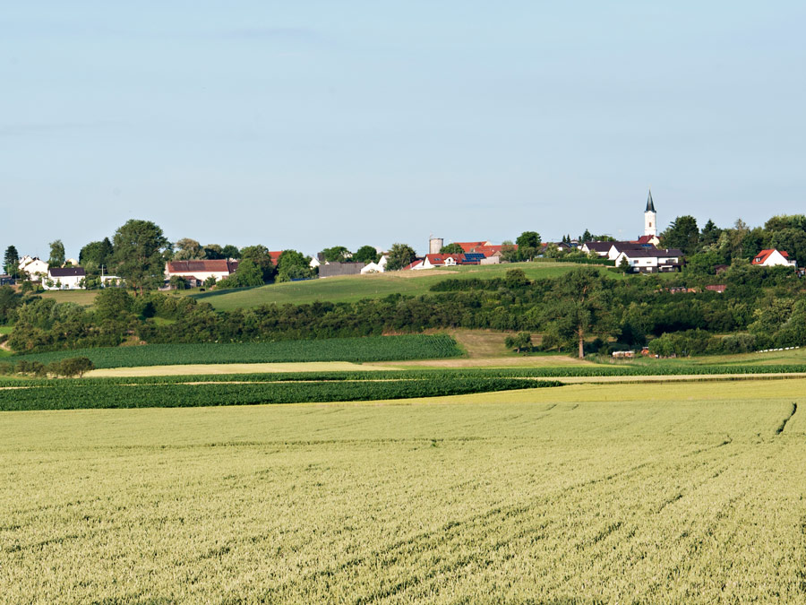 Ländliche Szenerie: Ein Dorf mit Kirche liegt auf einem Hügel hinter einem Feld.