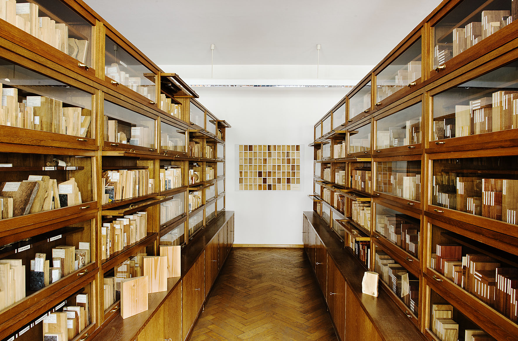 In the museum night, the Xylothek is also open, where historical collections and 5000 types of wood are exhibited worldwide. (© Ralf Rosin) In the museum night, the Xylothek is also open, where historical collections and 5000 types of wood are exhibited worldwide. (© Ralf Rosin)