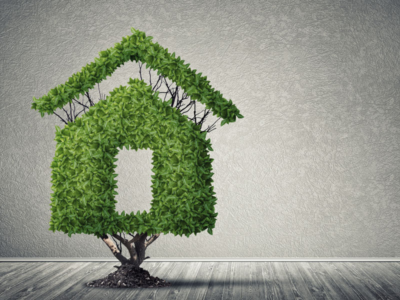 Researchers study ecological life cycle of buildings. (Photo: adam121/fotolia) The picture shows a tree that has the shape of a house.