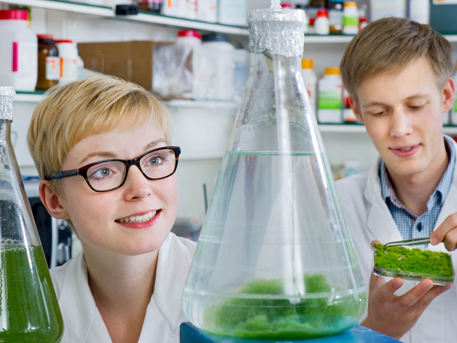 Katrin Fischer und Ingmar Polte prüfen das Mooswachstum im Labor.