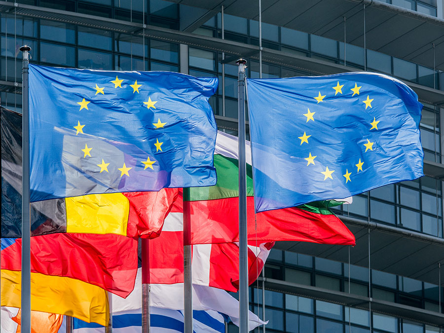 Flags of several states and of the EU