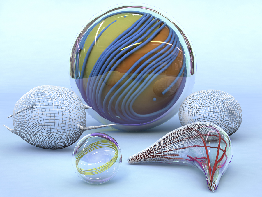 A variety of vesicle shapes. This artwork depicts arrangement of microtubules and membrane deformation in active nematic vesicles.