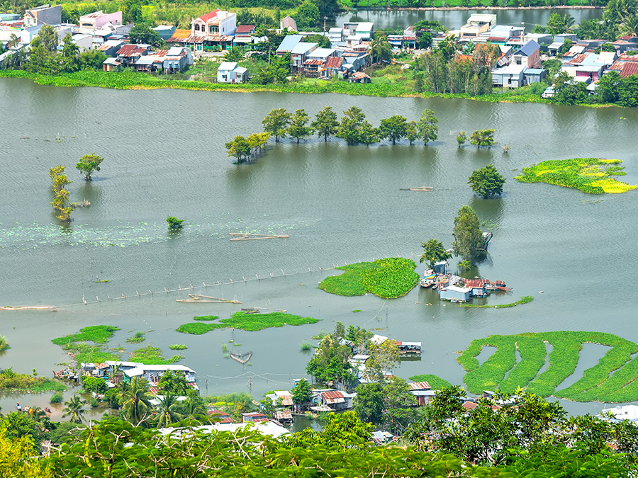 Überflutete Reisfelder im Mekong-Delta in Vietnam. (Foto: iStock / Huy Thoai)