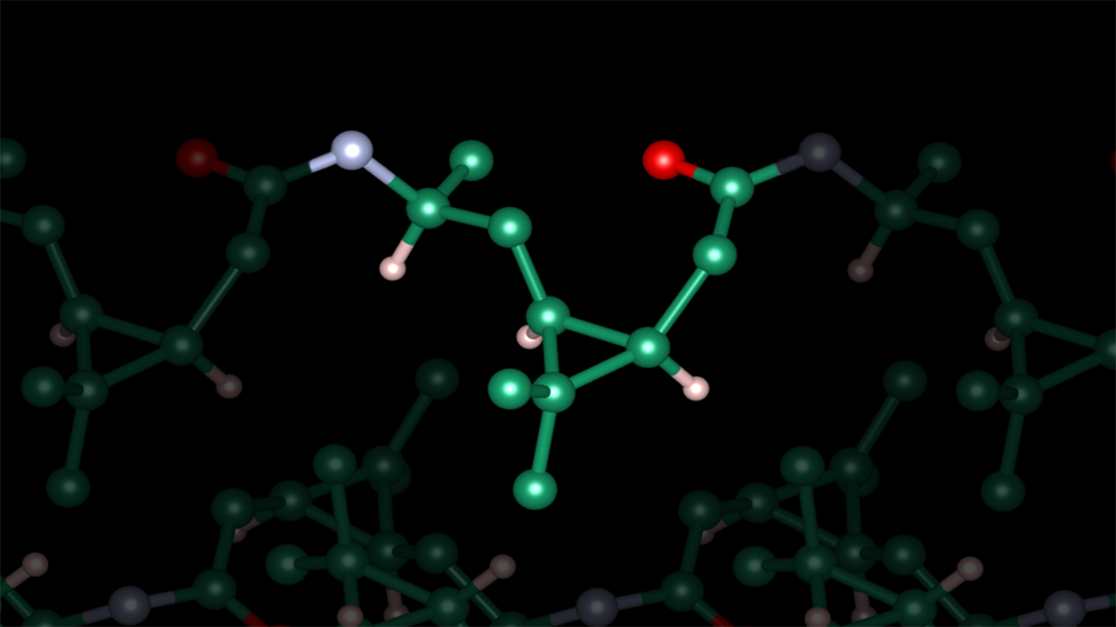 Monomereinheit des Poly-3S-caranamid.