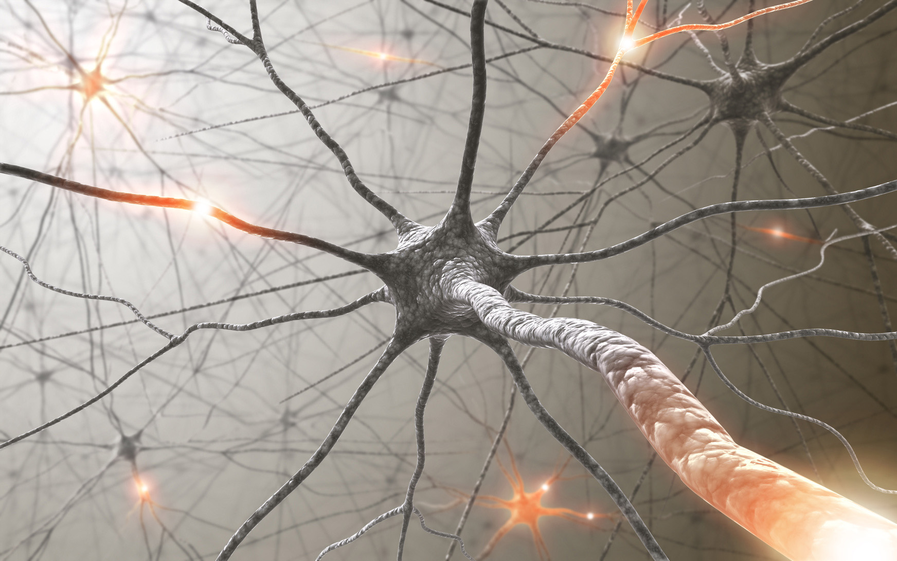Darstellung eines komplexen Nervenzellnetzwerks mit einzelnen Neuronen.