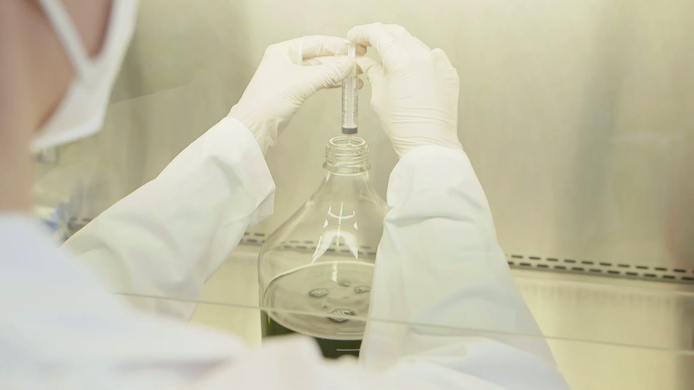 Biotech Fisch- und Fleischersatz aus dem Labor Mit Hilfe der Technik der Fermentation stellen Start-ups im Venture Lab Food / Agro / Biotech Fisch- und Fleischersatz her.