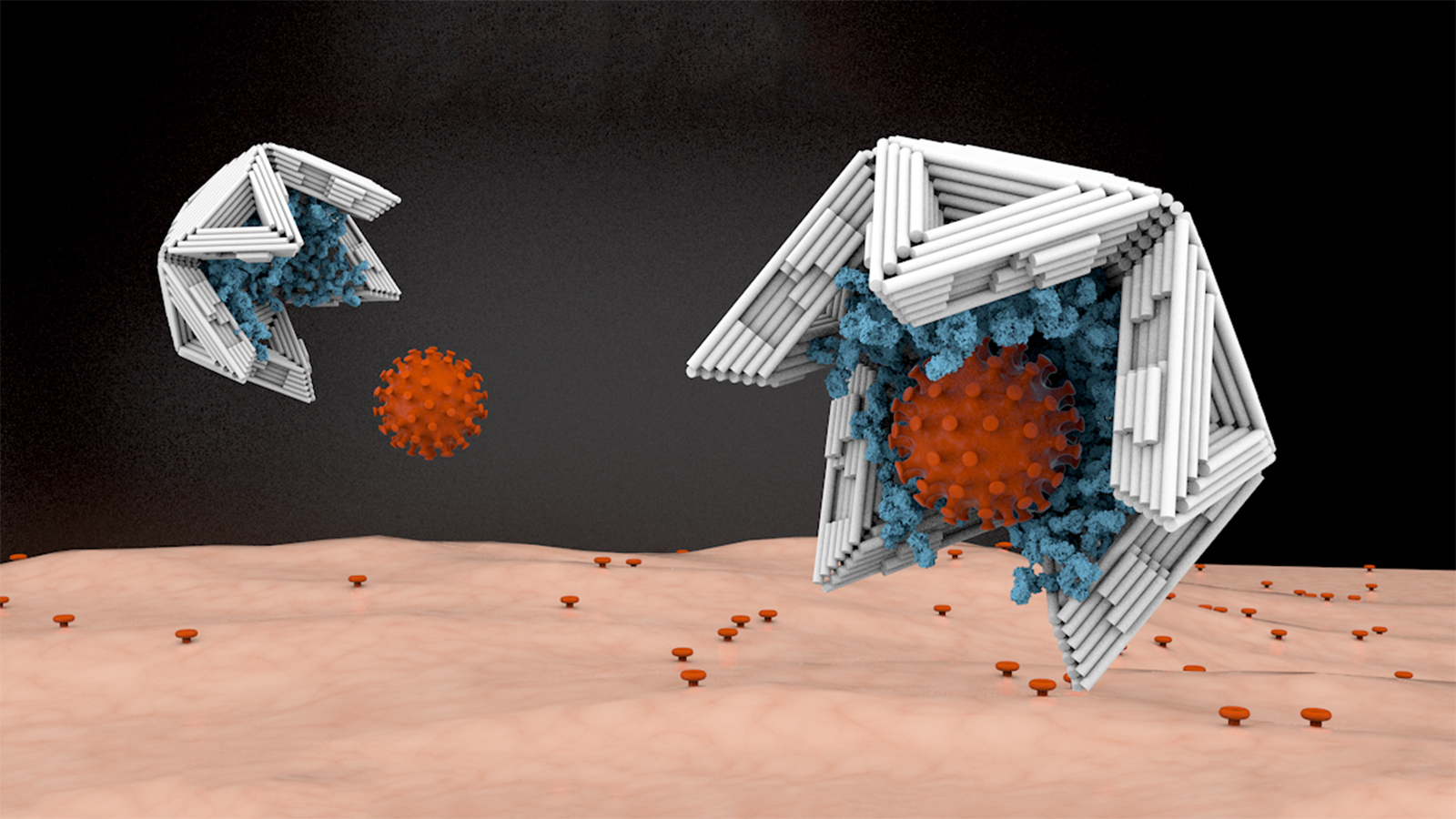 Auf der Innenseite mit Virus-bindenden Molekülen ausgekleidet, binden Nano-Halbschalen aus DNA-Material Viren an sich und machen sie damit unschädlich